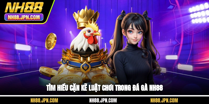 tim-hieu-can-ke-luat-choi-trong-da-ga-nh88